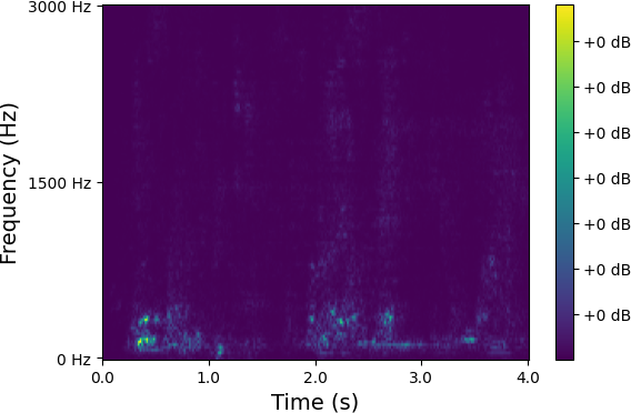 Spectrum 2